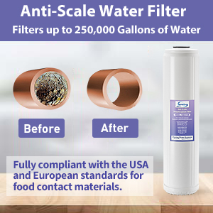 Anti scale filter is first stage of whole house system